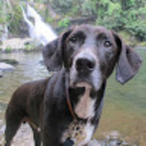 Meet your Posher, Jared